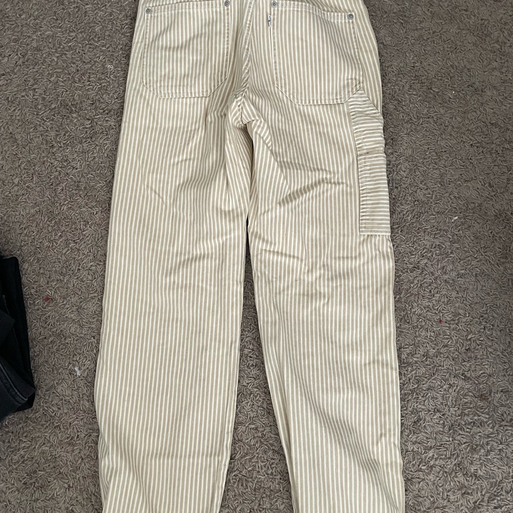 Levi - Picture 6 of 7